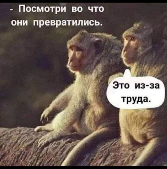 - Посмотри во что они превратились.
- Это из-за труда.