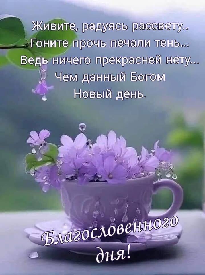 Живите, радуясь рассвету.. Гоните прочь печали тень... Ведь ничего прекрасней нету... Чем данный Богом Новый день.

Благословенного дня!