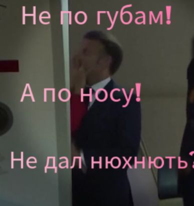 Не по губам! А по носу! Не дал нюхнуть?