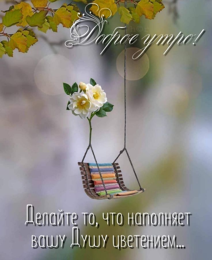 Доброе утро!
Делайте то, что наполняет вашу Душу цветением...