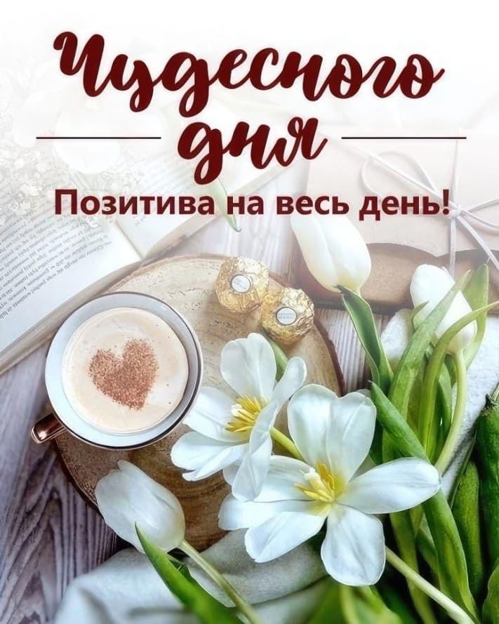 Чудесного дня! Позитива на весь день!