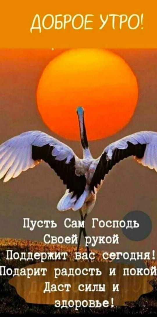 ДОБРОЕ УТРО!
Пусть Сам Господь Своею рукой Поддержит вас сегодня! Подарит радость и покой Даст силы и здоровье!