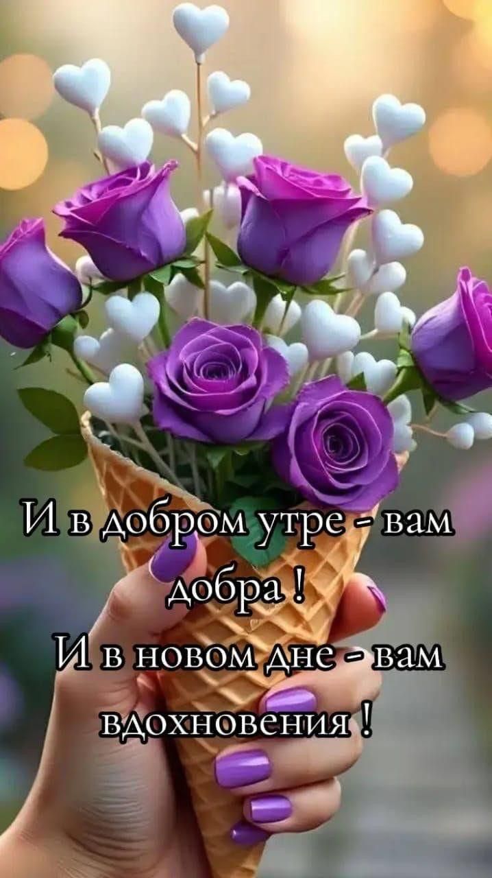 И в добром утре - вам добра ! И в новом дне - вам вдохновения !