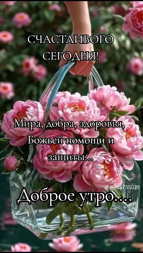 СЧАСТЛИВОГО СЕГОДНЯ!
Мира, добра, здоровья, Божьей помощи и защиты...
Доброе утро....