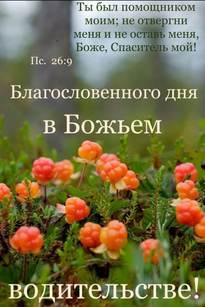 Ты был помощником моим; не отвергни меня и не оставь меня, Боже, Спаситель мой! Пс. 26:9
Благословенного дня в Божьем
водительстве!