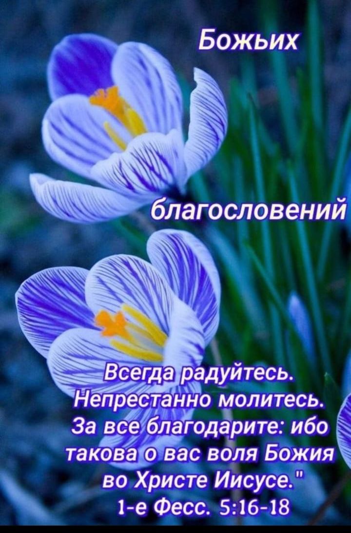 Божьих благословений
Всегда радуйтесь.
Непрестанно молитесь.
За все благодарите: ибо такова о вас воля Божия во Христе Иисусе.
1-е Фесс. 5:16-18
