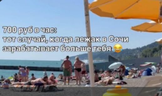 700 руб в час: тот случай, когда лежак в Сочи зарабатывает больше тебя 😂