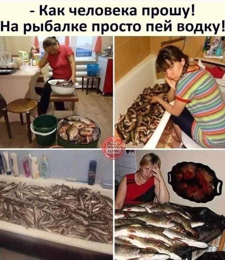 Как человека прошу! На рыбалке просто пей водку!