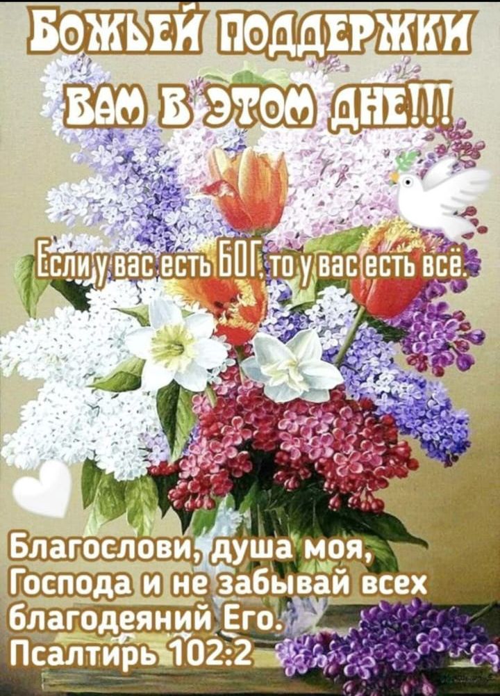 БОЖЬЕЙ ПОДДЕРЖКИ ВАМ В ЭТОМ ДНЕ!!! Если у вас есть БОГ, то у вас есть всё. Благослови, душа моя, Господа и не забывай всех благодеяний Его. Псалтырь 102:2