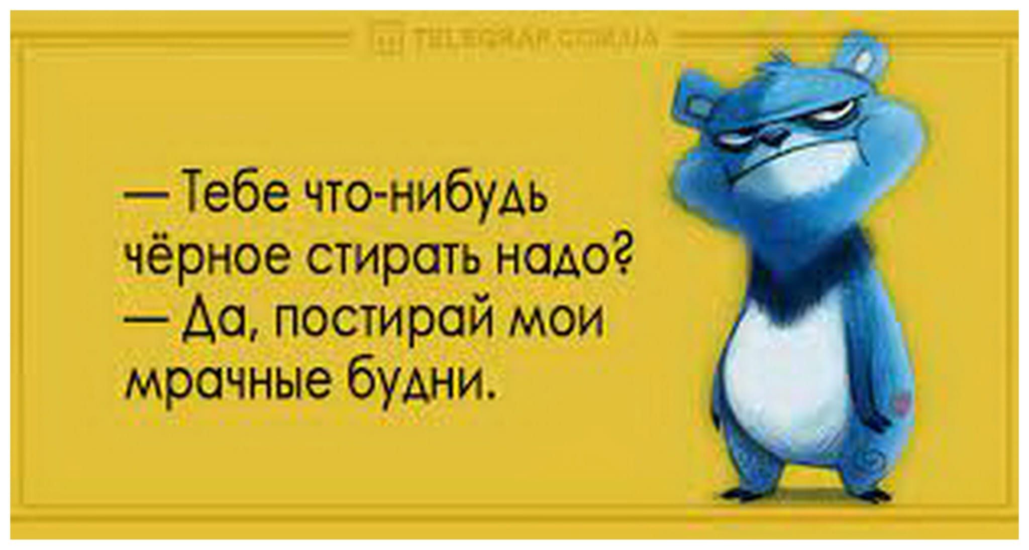 — Тебе что-нибудь чёрное стирать надо? — Да, постирой мои мрачные будни.