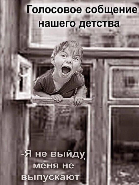 Голосовое сообщение нашего детства
- Я не выйду, меня не выпускают