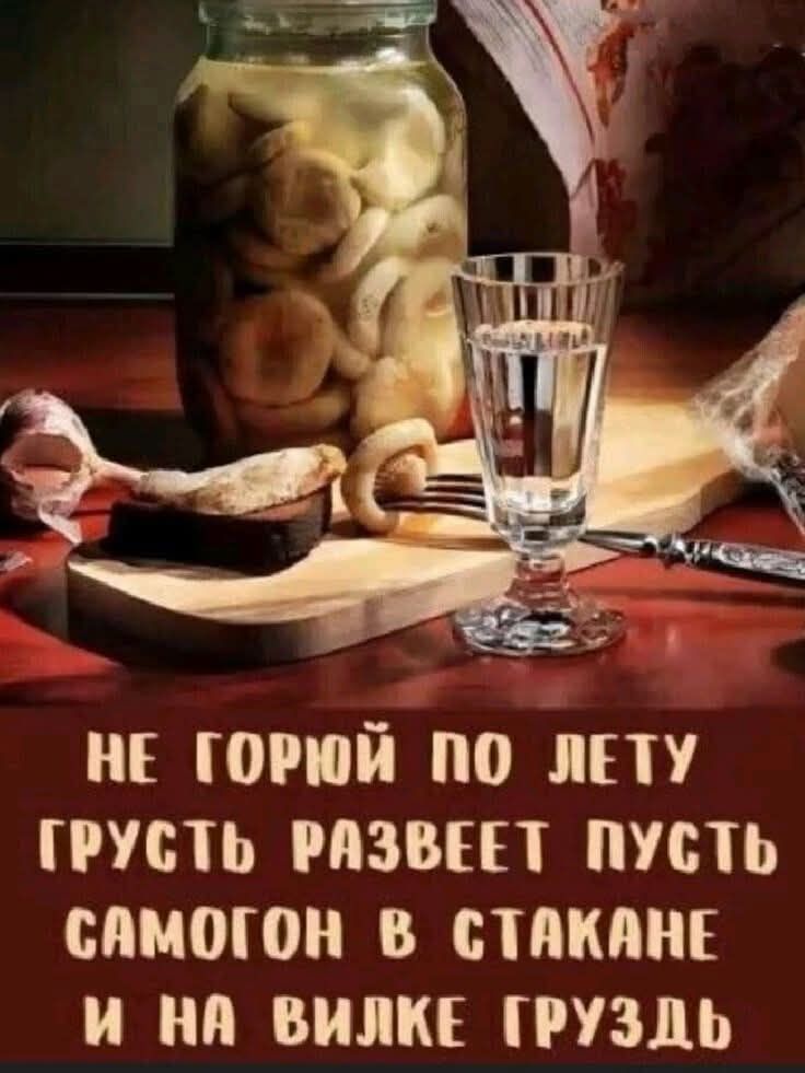 НЕ ГОРЮЙ ПО ЛЕТУ
ГРУСТЬ РАЗВЕЕТ ПУСТЬ
САМОГОН В СТАКАНЕ
И НА ВИЛКЕ ГРУЗДЬ