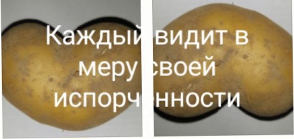 Каждый видит в меру своей испорченности
