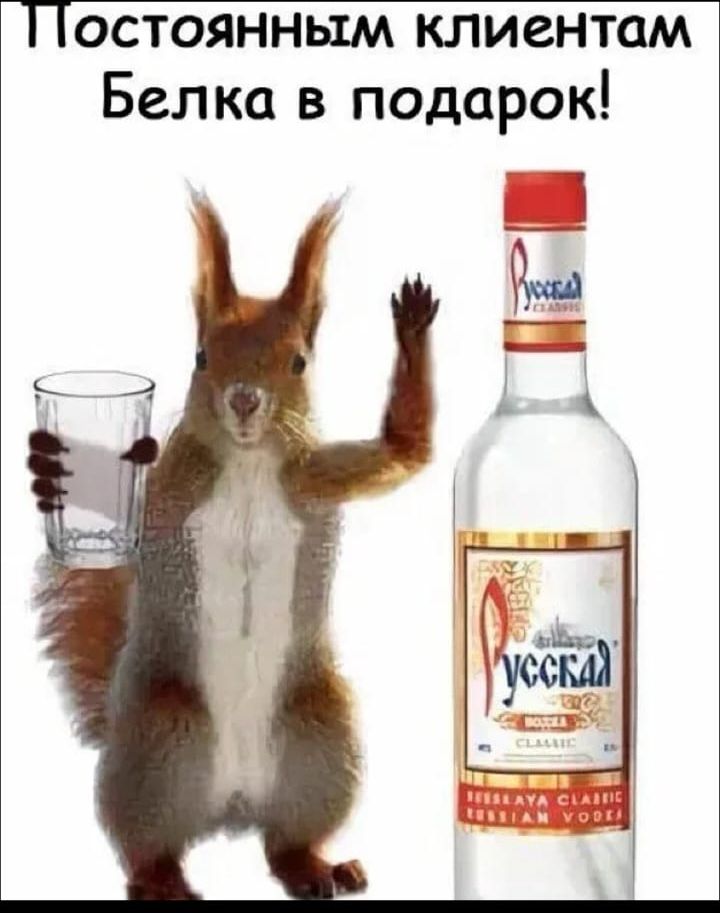 Постоянным клиентам Белка в подарок!