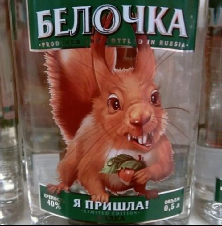 БЕЛОЧКА
Я ПРИШЛА!