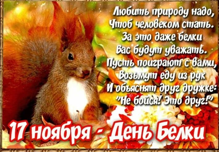 Любить природу надо,\nЧтоб человеком стать.\nЗа это даже белки\nВас будут уважать.\nПусть поблагодарят с вами,\nВозьмут еду из рук\nИ объяснят друг дружке:\n'Не бойся! Это друг!'\n\n17 ноября — День Белки