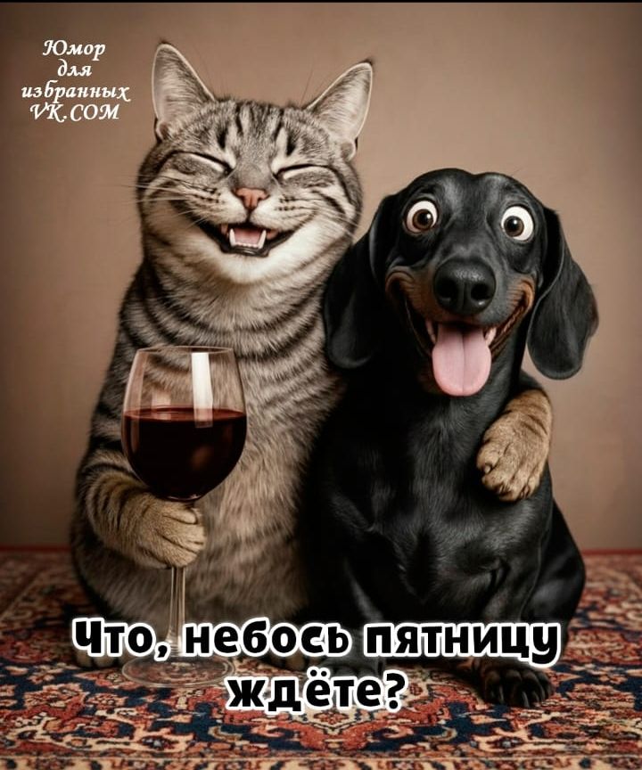 Что, небось пятницу ждёте?