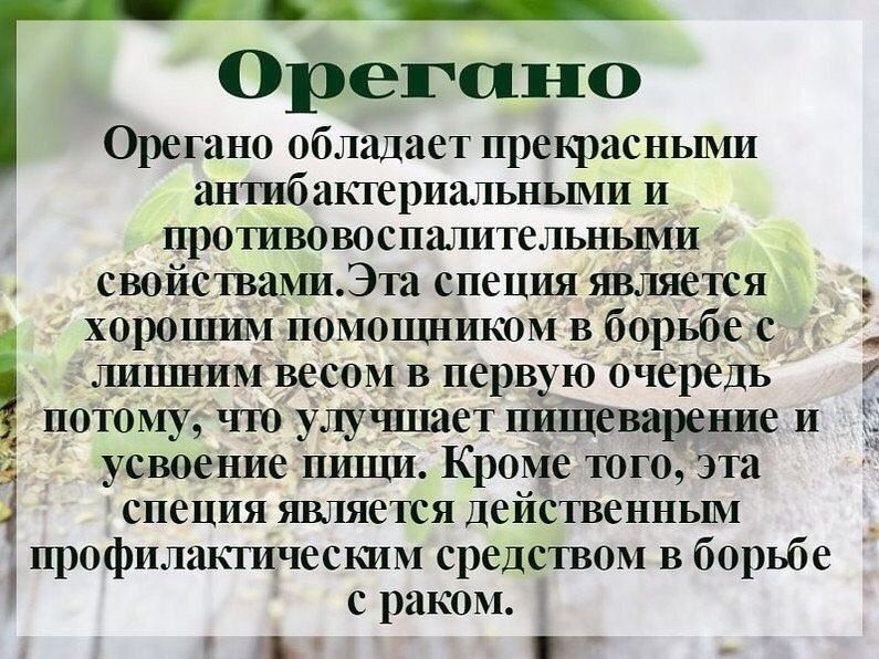 Орегано обладает прекрасными антибактериальными и противовоспалительными свойствами. Эта специя является хорошим помощником в борьбе с лишним весом в первую очередь потому, что улучшает пищеварение и усвоение пищи. Кроме того, эта специя является действенным профилактическим средством в борьбе с раком.