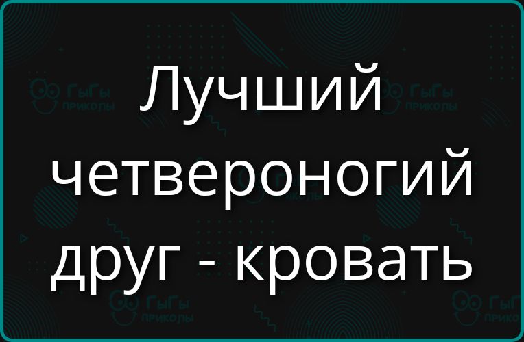 Лучший четвероногий друг - кровать