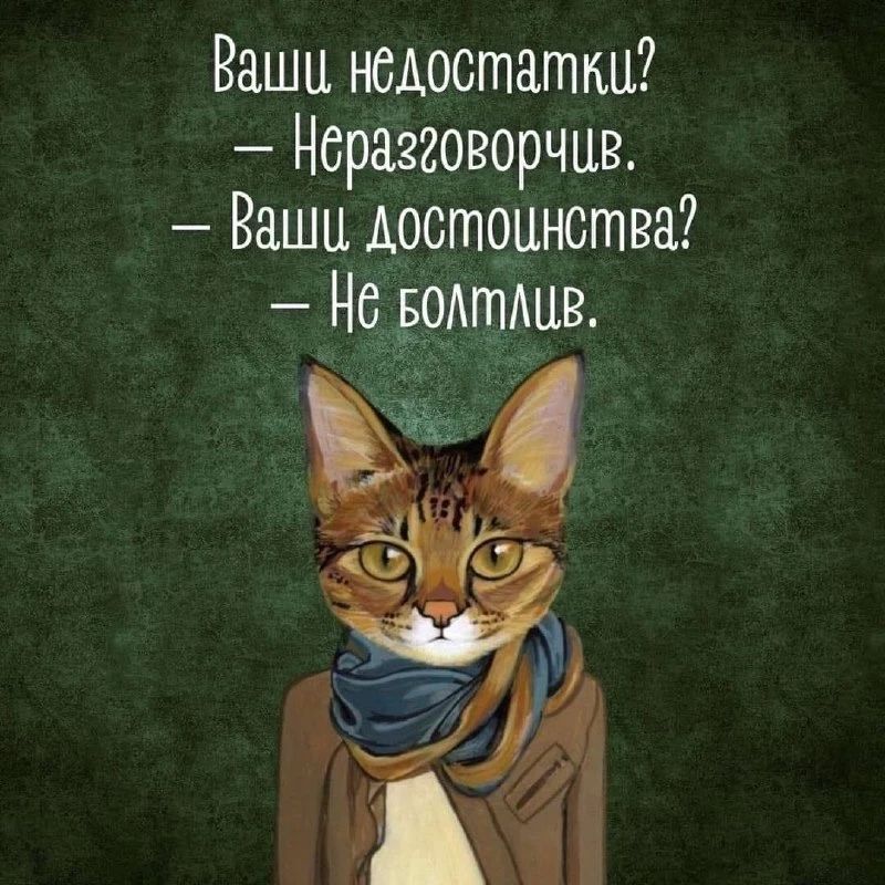 Ваши недостатки? – Неразговорчив. – Ваши достоинства? – Не болтлив.