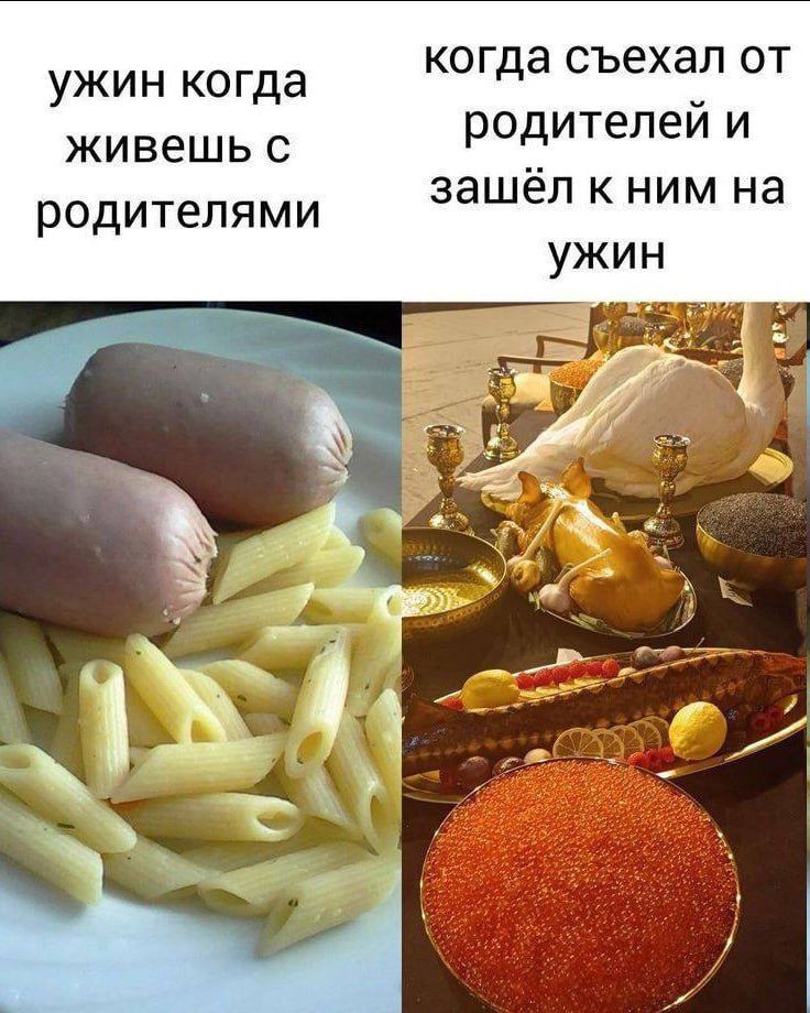 КОГДЭ СЪеХЗП ОТ ужин когда _ живешь с родитепеи и родителями зашёл к ним на ужин