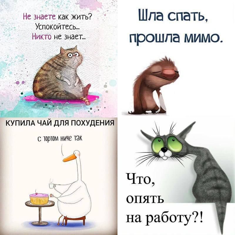Не знаете как жить? Успокойтесь... Никто не знает...
Шла спать, прошла мимо.
КУПИЛА ЧАЙ ДЛЯ ПОХУДЕНИЯ
с тортом ничего так
Что, опять на работу?!