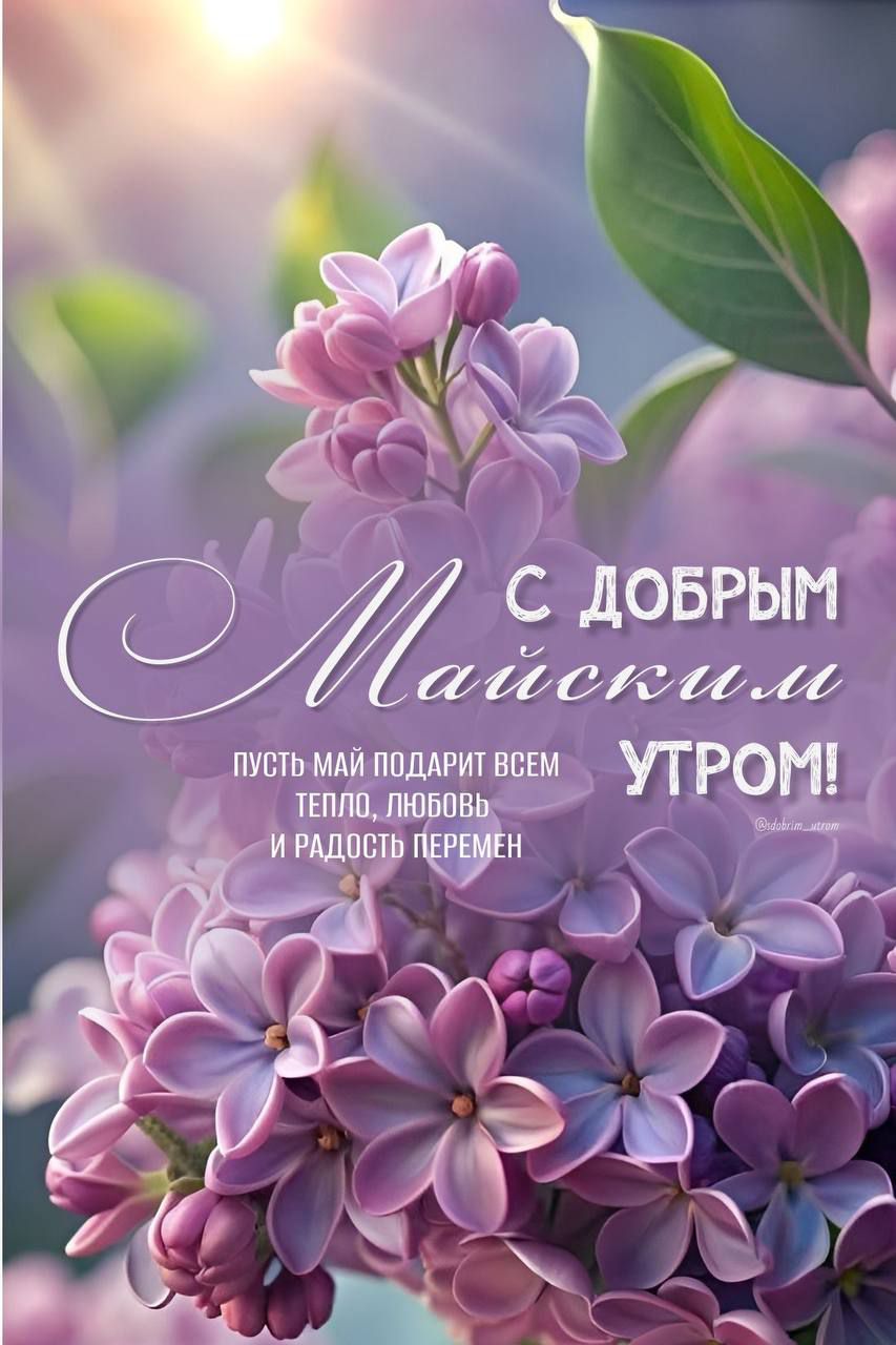 С ДОБРЫМ МАЙСКИМ УТРОМ!
ПУСТЬ МАЙ ПОДАРИТ ВСЕМ ТЕПЛО, ЛЮБОВЬ И РАДОСТЬ ПЕРЕМЕН