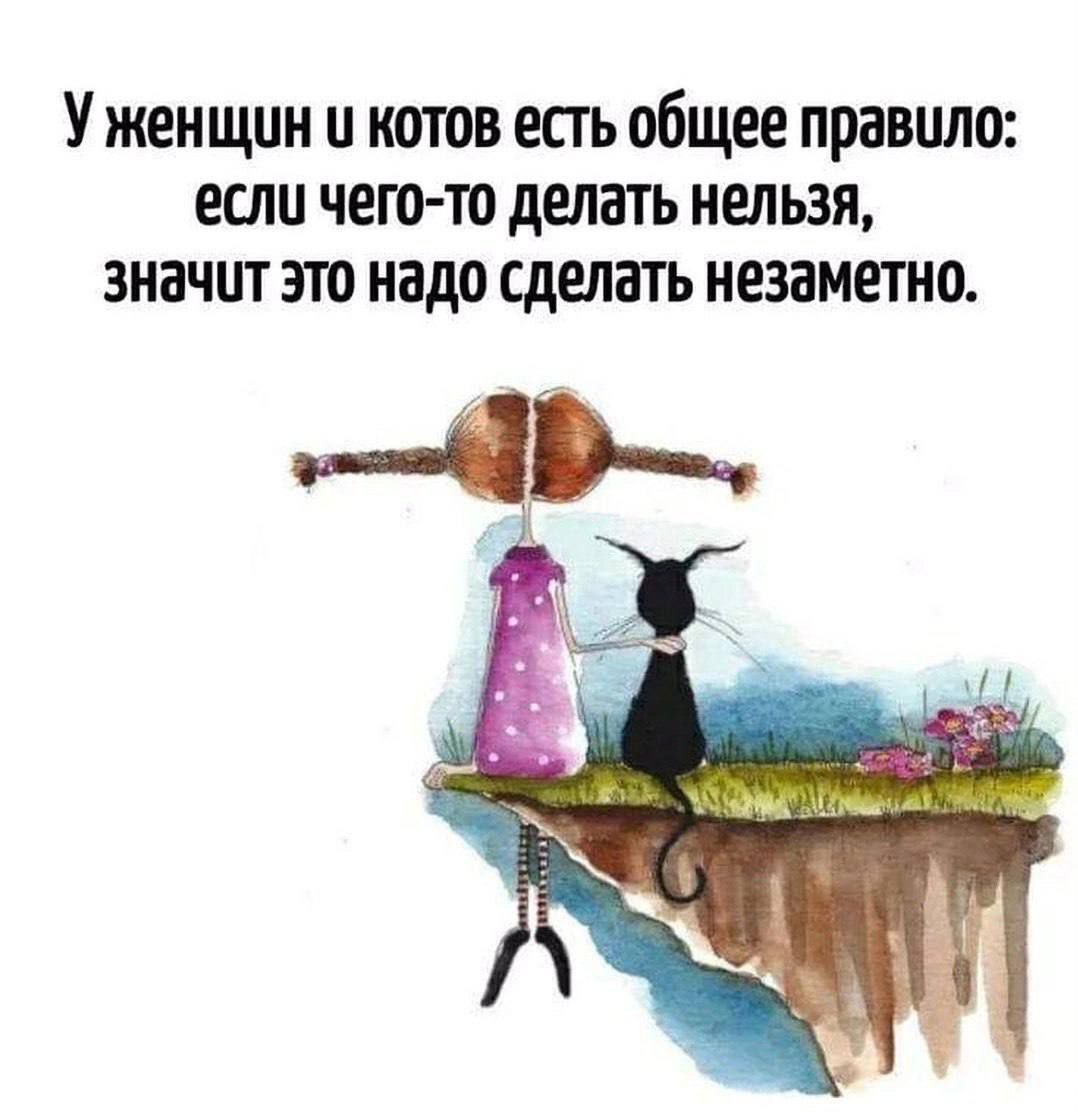 У женщин и котов есть общее правило: если чего-то делать нельзя, значит это надо сделать незаметно.