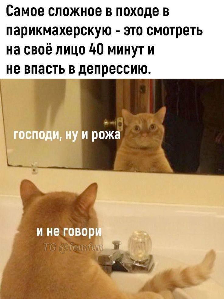Самое сложное в походе в парикмахерскую - это смотреть на своё лицо 40 минут и не впасть в депрессию.
господи, ну и рожа
и не говори