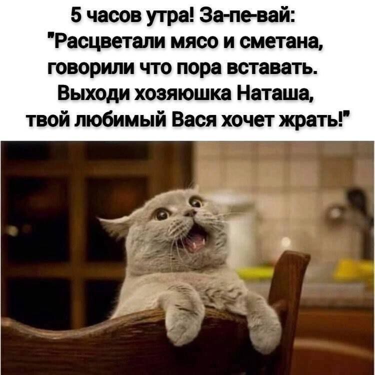 5 часов утра! За-певай: 