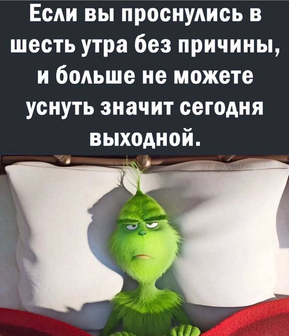Если вы проснулись в шесть утра без причины, и больше не можете уснуть значит сегодня выходной.