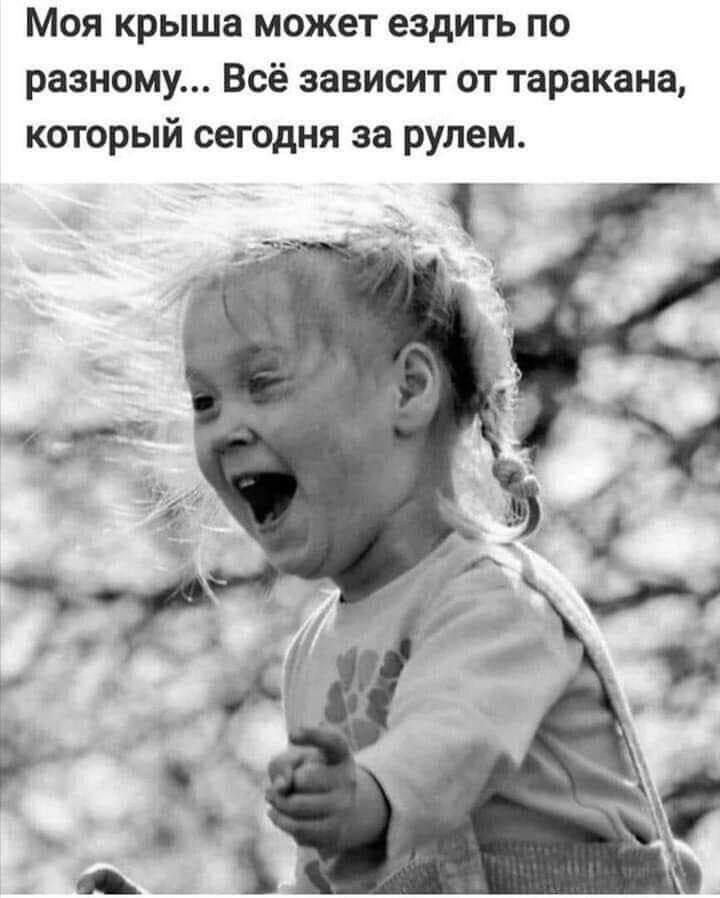 Моя крыша может ездить по разному... Всё зависит от таракана, который сегодня за рулем.
