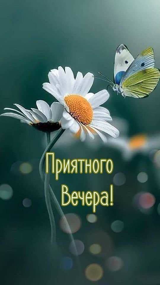 Приятного Вечера!