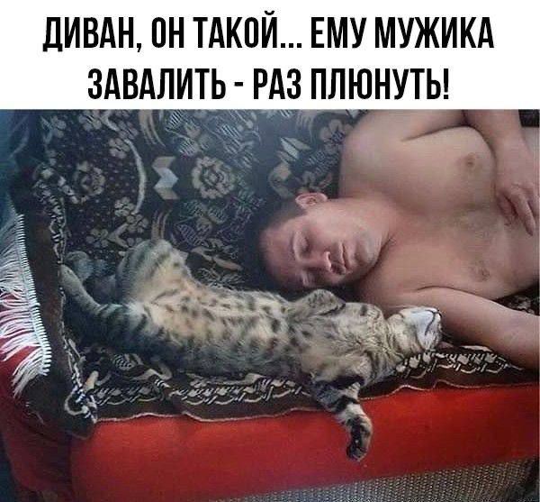 ДИВАН, ОН ТАКОЙ... ЕМУ МУЖИКА ЗАВАЛИТЬ - РАЗ ПЛЮНУТЬ!