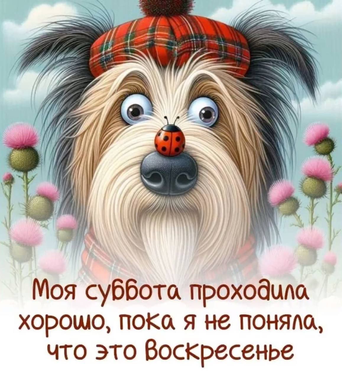 Моя суббота проходила хорошо, пока я не поняла, что это Воскресенье