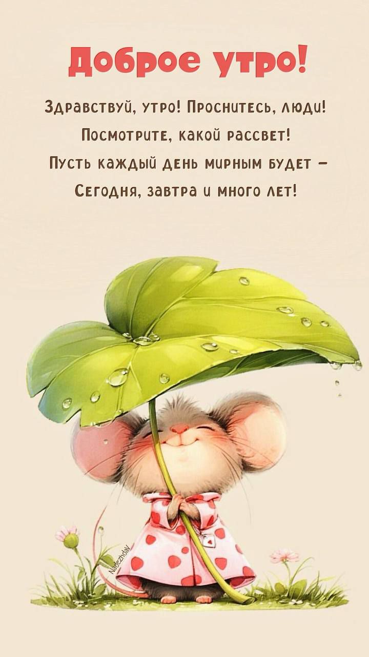 Доброе утро! Здравствуй, утро! Проснитесь, люди! Посмотрите, какой рассвет! Пусть каждый день мирным будет – Сегодня, завтра и много лет!