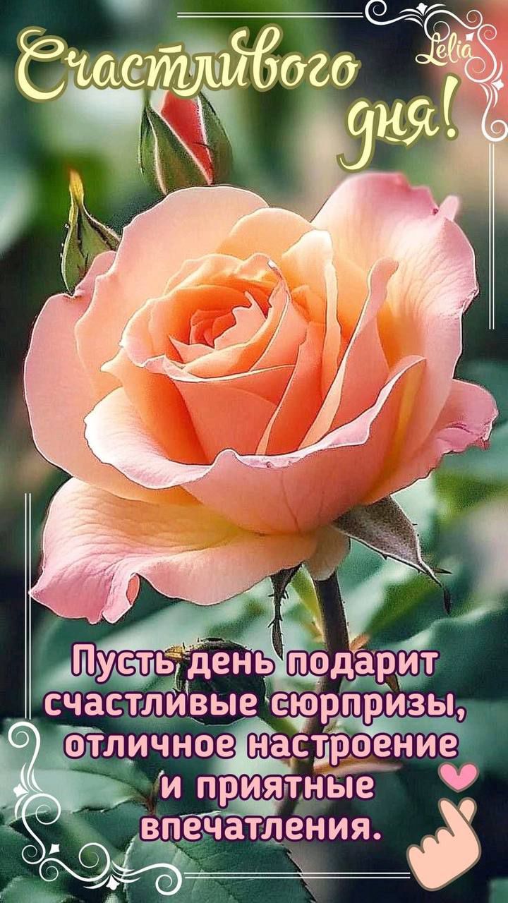 Счастливого дня! Пусть день подарит счастливые сюрпризы, отличное настроение и приятные впечатления.
