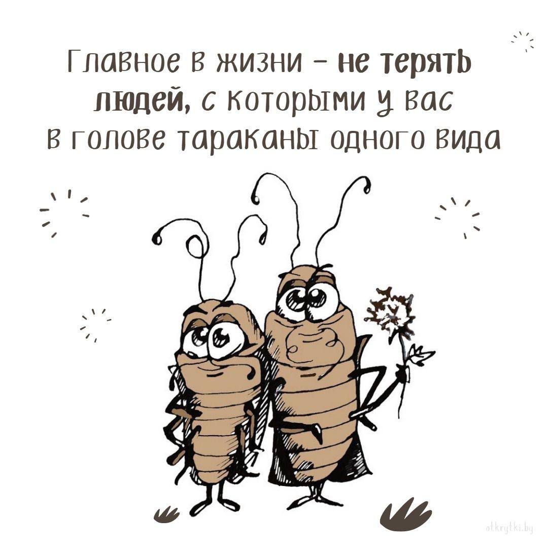 Главное в жизни – не терять людей, с которыми у вас в голове тараканы одного вида