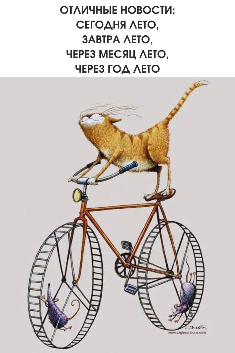 ОТЛИЧНЫЕ НОВОСТИ: СЕГОДНЯ ЛЕТО, ЗАВТРА ЛЕТО, ЧЕРЕЗ МЕСЯЦ ЛЕТО, ЧЕРЕЗ ГОД ЛЕТО