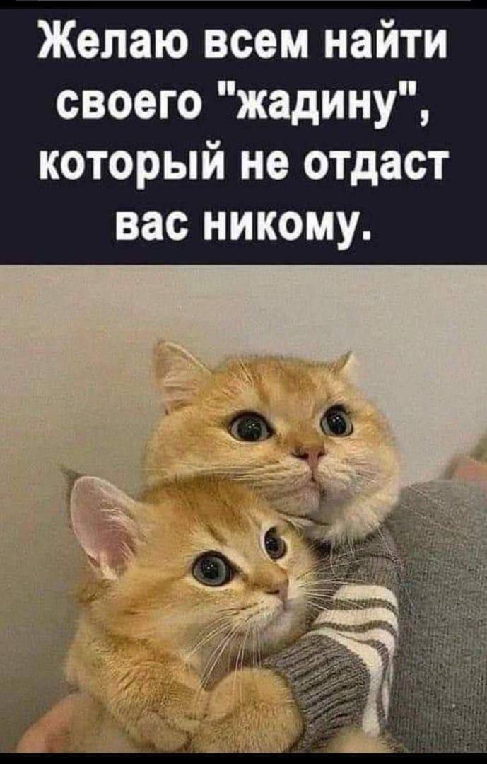 Желаю всем найти своего 