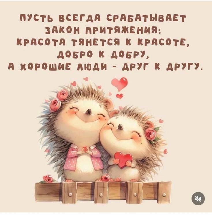 Пусть всегда срабатывает закон притяжения: красота тянется к красоте, добро к добру, а хорошие люди - друг к другу.