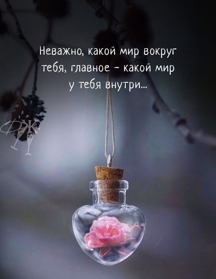 Неважно, какой мир вокруг тебя, главное - какой мир у тебя внутри...