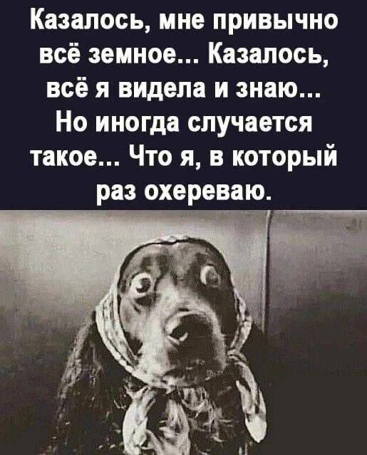 Казалось, мне привычно всё земное... Казалось, всё я видела и знаю... Но иногда случается такое... Что я, в который раз охереваю.