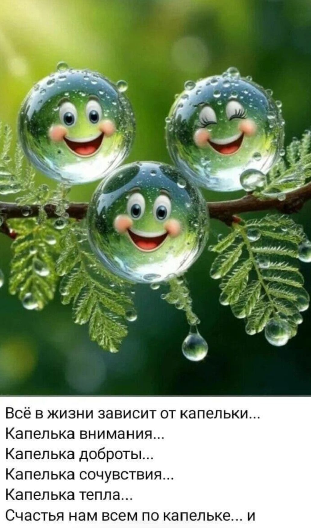 Всё в жизни зависит от капельки...
Капелька внимания...
Капелька доброты...
Капелька сочувствия...
Капелька тепла...
Счастья нам всем по капельке... и