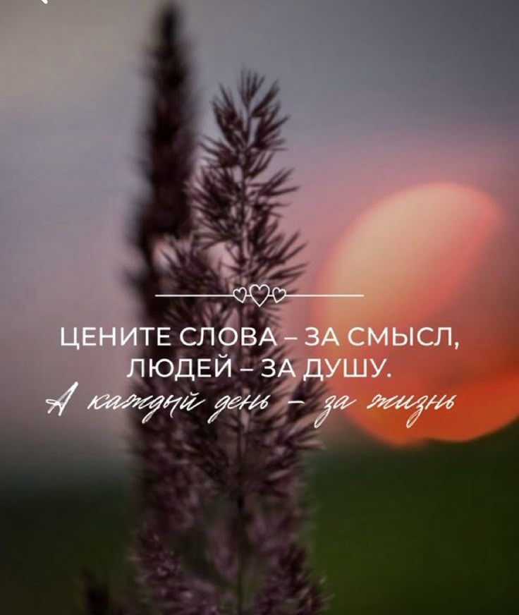 ЦЕНИТЕ СЛОВА – ЗА СМЫСЛ, ЛЮДЕЙ – ЗА ДУШУ. А КАЖДЫЙ ДЕНЬ – ЗА ЖИЗНЬ.