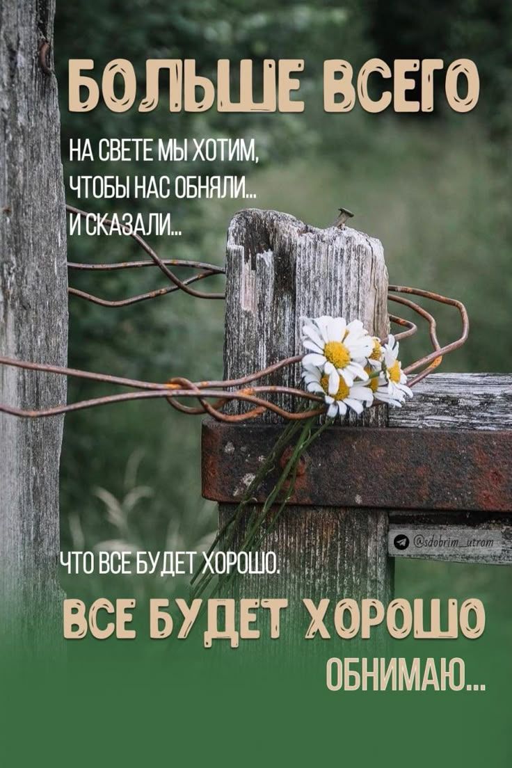БО́ЛЬШЕ ВСЕ́ГО
НА СВЕ́ТЕ МЫ ХО́ТИМ,
ЧТОБЫ НАС ОБЪЯ́ЛИ...
И СКАЗА́ЛИ...

ЧТО ВСЕ́ БУДЕТ ХО́РОШО:
ВСЕ́ БУДЕТ ХО́РОШО
ОБНИМА́Ю...
