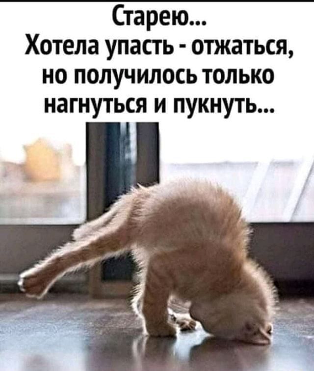 Старею... Хотела упасть - отжаться, но получилось только нагнуться и пукнуть...
