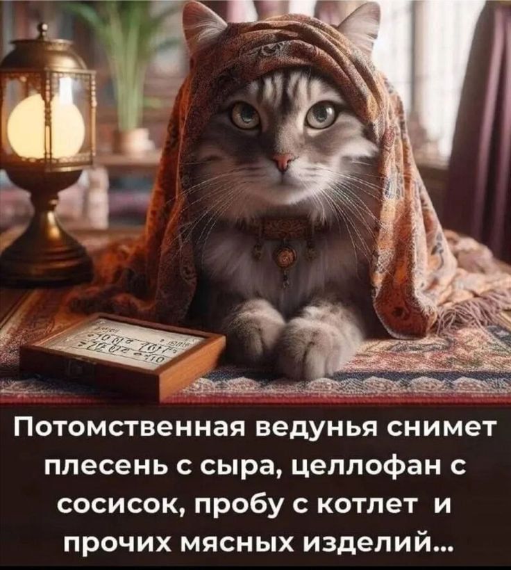 Потомственная ведунья снимет плесень с сыра, целлофан с сосисок, пробу с котлет и прочих мясных изделий...