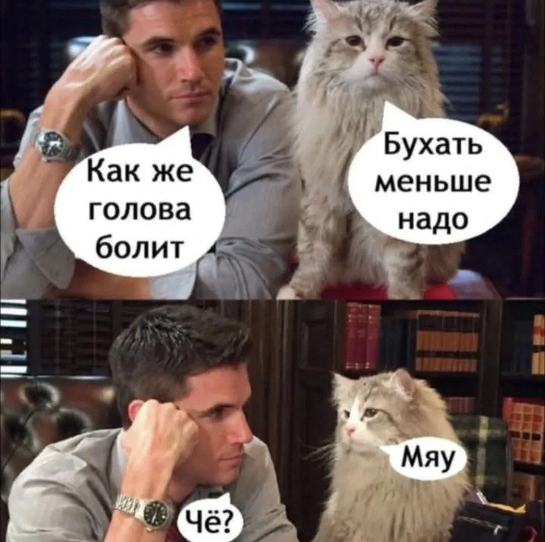Как же голова болит
Бухать меньше надо
Чё?