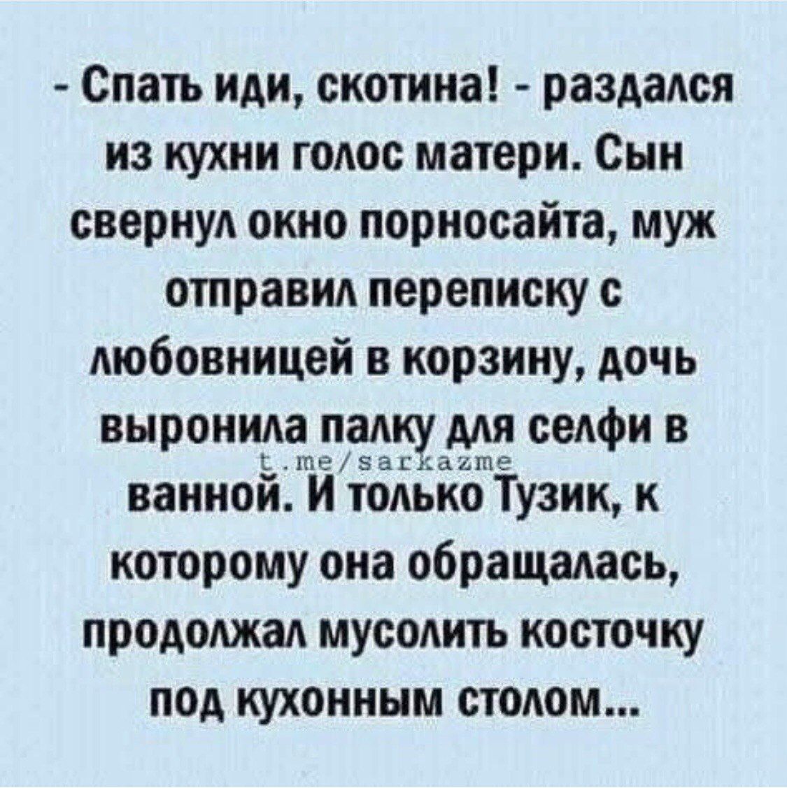 - Спать иди, скотина! - раздался из кухни голос матери. Сын свернул окно порносайта, муж отправил переписку с любовницей в корзину, дочь выронила палку для селфи в ванной. И только Тузик, к которому она обращалась, продолжал мыслить косточку под кухонным столом...